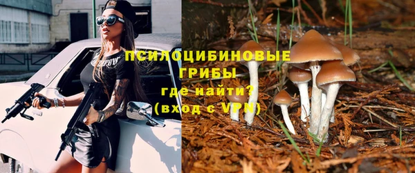 таблы Карпинск