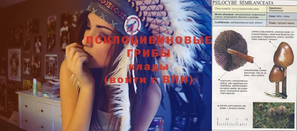 таблы Карпинск