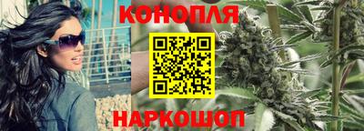 дживик Кунгур