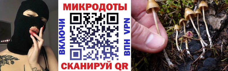 Галлюциногенные грибы Psilocybe  дарнет шоп  kraken tor  Сыктывкар 